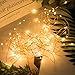 Minetom Fairy Lights Battery Operated with Remote, 66Ft 200 LED Waterproof String Lights Indoor Outdoor, Starry Twinkle Light for Christmas Home Bedroom Wedding DIY Centerpiece Decor