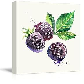 Square Canvas Wall Art - BlackBerry Watercolor | Fruits Watercolor Art and Illustrations - Giclee Print Gallery Wrap Modern Home Art Ready to Hang - 12x12 inches