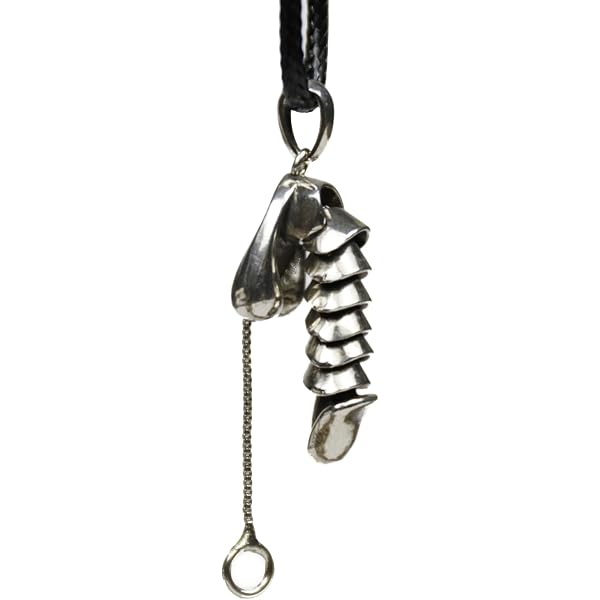 Amazon.com: Vrogadso Peni Necklace Funny Necklace Including 21.8