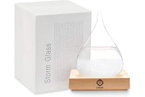 GM GMISS Storm Glass Weather Predictor,Christmas Snow Globe Storm Glass Barometer Weather Predictor, Home and Office Decorative Glass Bottles, Christmas Unique Gifts for Her