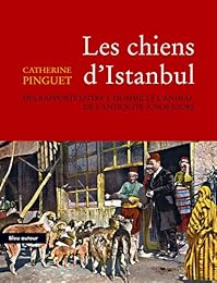 Les  chiens d'Istanbul