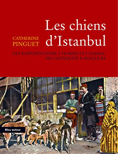 Les  chiens d'Istanbul