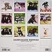Just Schnauzer Puppies 2019 Wall Calendar (Dog Breed Calendar)