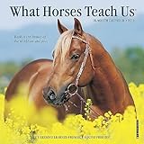 What Horses Teach Us 2016 Mini Calendar