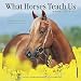 What Horses Teach Us 2016 Mini Calendar