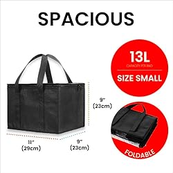 Small Insulated Cooler Bag and Food Warmer for