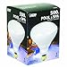 Feit Electric 500R/FL-130 500-Watt R40 130-Volt Pool/Spa Flood Reflector