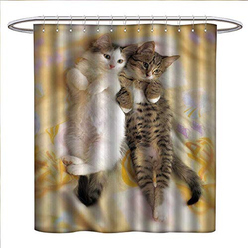 smllmoonDeco Funny Shower Curtains Fabric Extra Long Kitten Siblings Lying Beside Sleepy Heads Cat Pet Animal Lovers Best Friends Image Bathroom Accessories W72 x L72 Multicolor