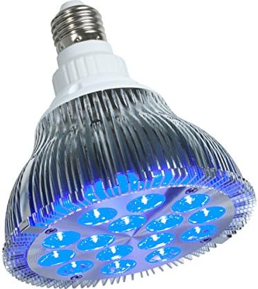 powerPAR LED Bulb-Blue 15W/E27 (6/cs)