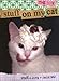 Stuff on My Cat: The Book by Mario Garza