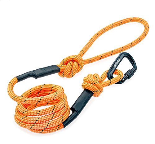 Embark Pets Sierra Leash/Mountain Climbing Rope Leash with Carabiner (Orange)