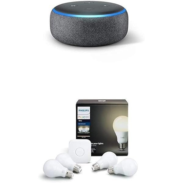 philips hue starter kit echo dot