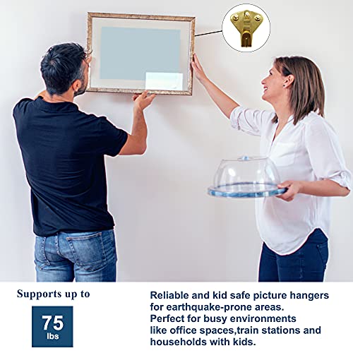 Earthquake Hangers(75lbs10pcs), Heavy Duty Earthquake Picture Hanging