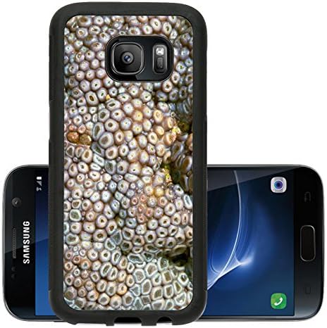 Liili Premium Samsung Galaxy S7 Aluminum Backplate Bumper Snap Case Texture of Balanus Photo 456579