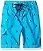 Kanu Surf Boys' Regatta Sailboat Swim Trunk