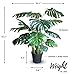 Haus and Sage Artificial Tree for Home and Office Decor - Monstera Deliciosa Floor Palm, 47