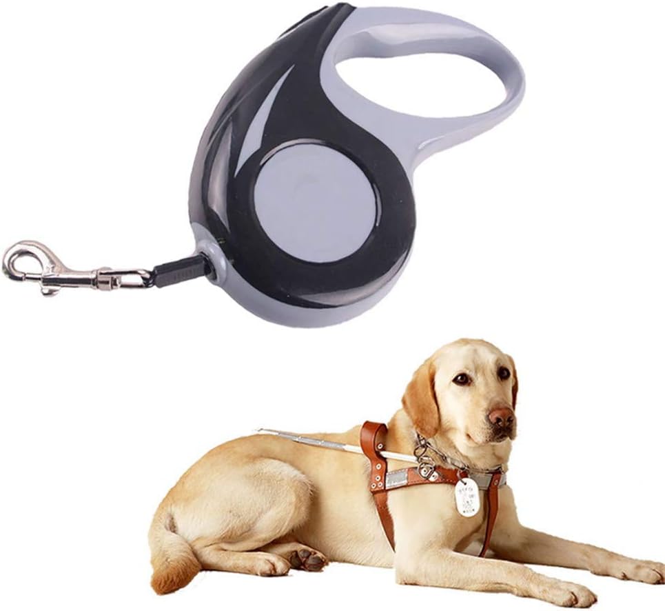 miniature himalayan cat