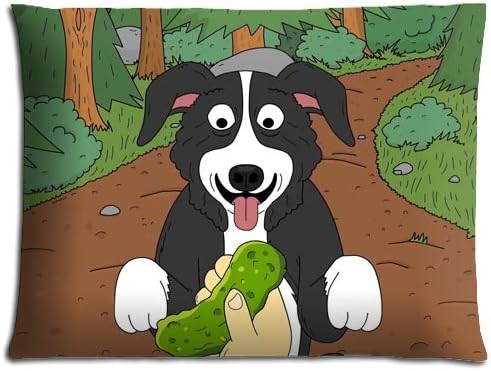 Bed Pillow Cover Case Zippered Anti-microbial Cotton + Polyester Mr. Pickles LASTING 20x26 inch 50x66 cm