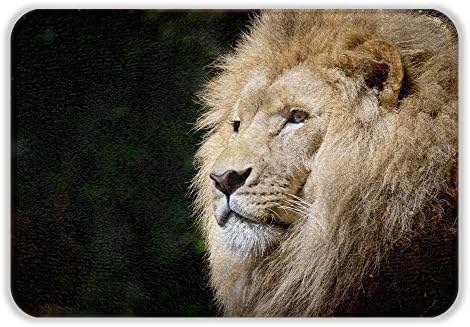 ALL PRIDE Lion Design Fresh Style Bath Mat Super Soft The Non Slip Latex Free Plush Microfiber with Quickly Drying Antibacterial Bathroom Shower Mats Rug 17"x24