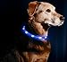 LED Dog Necklace Collar - USB Rechargeable Loop - Available in 6 Colors - Makes Your Dog Visible, Safe & Seen