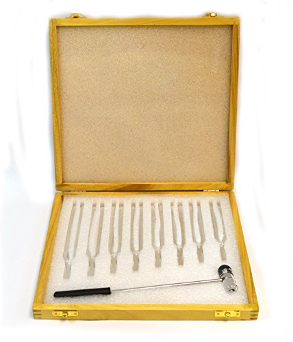 Eisco Labs Aluminum Scientific Tuning Forks, Set of 8 (Scientific Pitch, C4 = 256Hz) with Wooden Case and Mallet - Designed for Physics Experiments