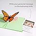 Lovepop Butterfly Pop Up Card, 5x7-3D Greeting Card, Mother's Day Card, Card for Wife or Mom, Anniversary Pop Up Card, Pop Up Birthday Card