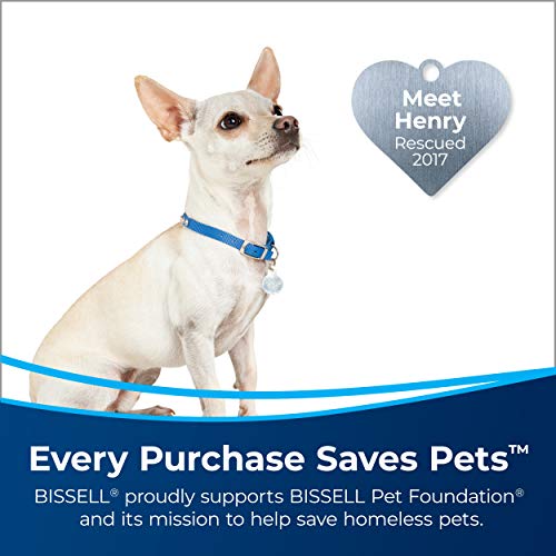 Bissell Pet Stain Eraser PowerBrush, 2837 Pricepulse