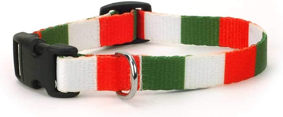 special dog collars