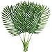 Warmter Faux Palm Leaves 5 Pack Palm Leaves Fake Faux Artificial Plant Leaves Green Single Leaf Palm for Home Kitchen Party Supplies Tropical Leaves Decorations (22 inch)