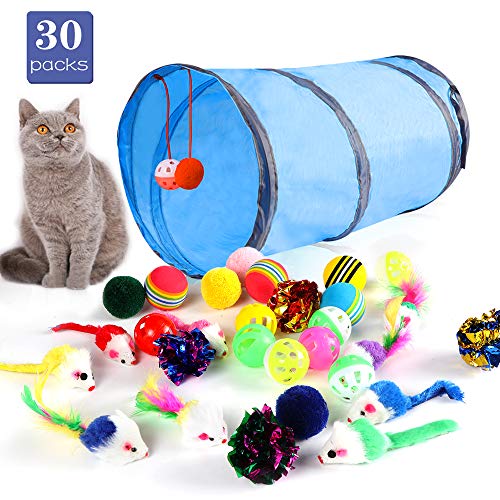 cat toys cat toys