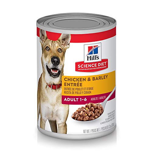 Hill's Science Diet Wet Dog Food, Adult, 13 oz Cans, 12 Pack (Best Diet For Diabetic Dog)