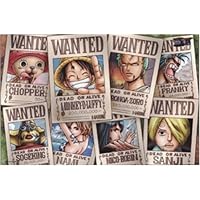 Mua B V One Piece Booklet Set Of 27 New Version Straw Pirate Four King Dragon Wallpaper Poster Tren Amazon Nhật Chinh Hang 21 Fado