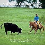 Cover for 9781933790985