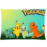 Pokemons Custom Zippered Pillow Case 20x30 Inch (Twin Sides)