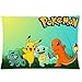 Pokemons Custom Zippered Pillow Case 20x30 Inch (Twin Sides)