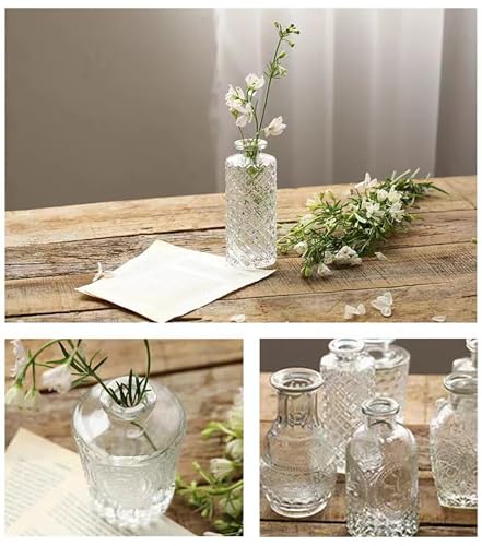 Glass Flower Vase, 12 Pack Small Flowers Vases Set, Mini Bud Plant Pots for Table Decoration & Centerpieces & Wedding, Vintage Bottle for Outdoor and Home Decor, صغيرة زجاج فازات, (Clear)