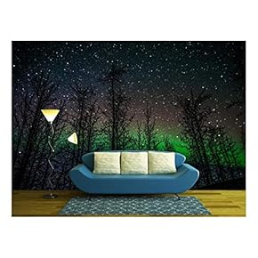 Northern Lights Aurora Borealis