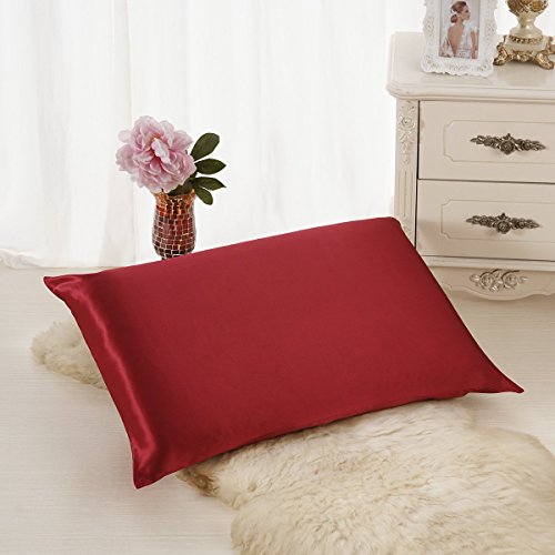 ALASKA BEAR - Luxurious 25 momme weight Silk Pillowcase, 900 thread count 100 percent Mulberry Silk Thick Pillow Case, Standard(1, Burgundy)