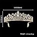 Sppry Gorgeous Baroque Rhinestone Tiara Crown for Bridal Princess Women at Wedding Birthday Pageant (Gold)