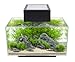Fluval EDGE Aquarium Kit, Aquarium with LED Lighting and 3-Stage Filtration System, 6 Gallons, Black, 15385A1