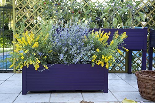 Jardinera GREENLAND 88x31, 5x31, 5 cm. Color:Berenjena: Amazon.es ...