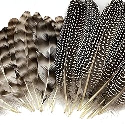 30 Pcs Natural Pheasant Feathers for DIY Craft