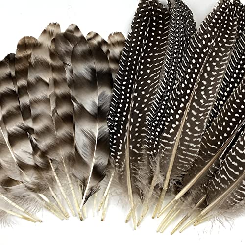 30 Pcs Natural Pheasant Feathers for DIY Craft