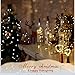 Brizled Wine Bottle Lights with Cork, 20 LED Starry String Lights, 8 Pack Battery Operated Lights for Party, Wedding, Outdoor and Indoor Decorations, Warm White