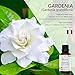 ESSLUX Gardenia Essential Oil, 100% Pure Aromatherapy Oil for Diffuser Humidifiers, 30mlthumb 1