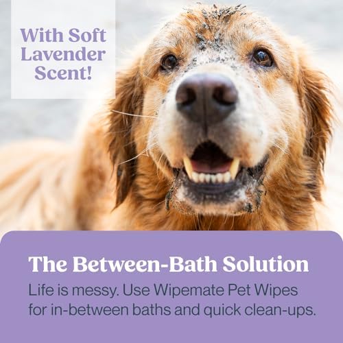 WIPEMATE LAVENDER XL PET WIPES FOR MEDIUM TO LARGE DOGS & CATS, NO-RINSE SOLUTION, HYPOALLERGENIC, GENTLE, DEODORIZING – PET WIPES FOR CLEANS PAWS, EARS, FUR, BUTT, & ANAL GLANDS (100 CT)