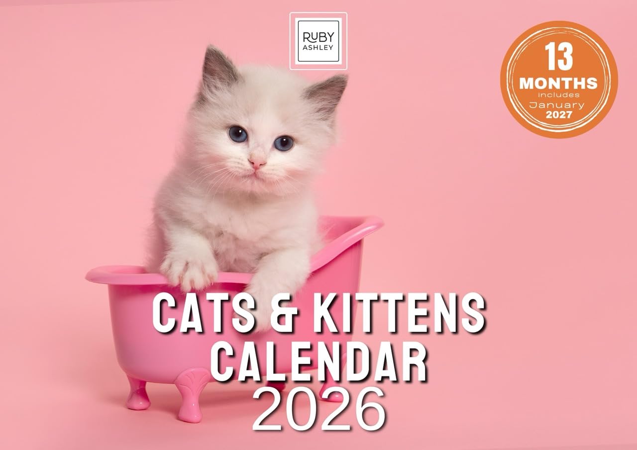 Cats & Kittens Calendar 2026 – Cute Cat & Kitten Wall Calendar UK – A4 to A3 with Space for Notes – Printed in the UK by Ruby Ashley®