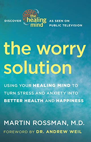 Cover of The Worry Solution