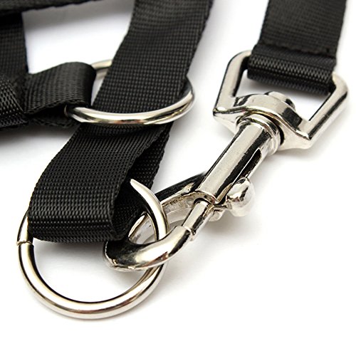 Zeroyoyo Adjustable Pet Dog Puppy Head Halter Buckle Muzzle Headcollar Nylon Strap Training