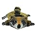 Hyper Pet Real Skinz Raccoon Plush Dog Toy